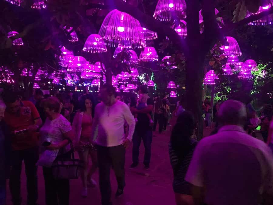 Medellin Christmas Lights Tour - The 4-hour rhythm: how the private format keeps it comfortable