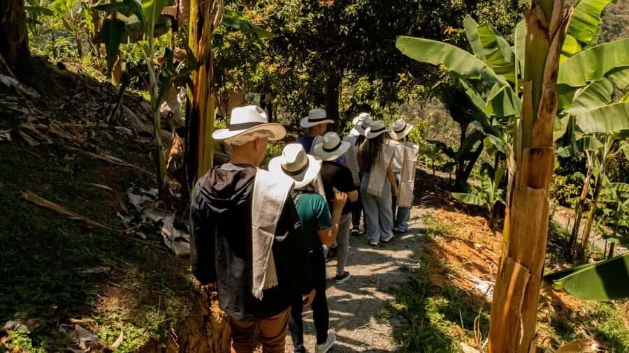 Medellin: Coffee and fruit tour - The ride from Medellín to Ebejico sets the tone