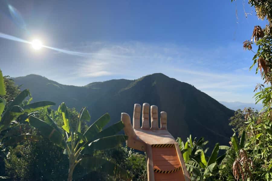 Medellin: Coffee and fruit tour - Coffee processing and cupping: what to look for in your cup