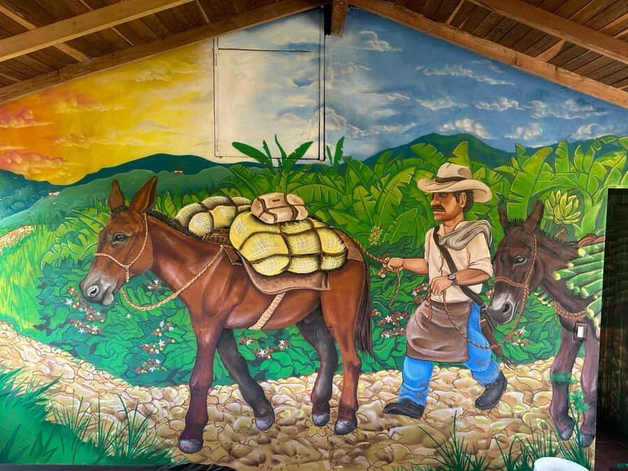 Medellin: Coffee and fruit tour - Fruit, cacao, and typical tastings: the farm menu keeps changing
