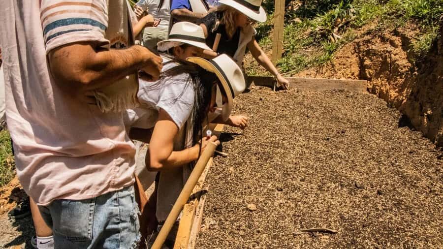 Medellin: Coffee and fruit tour - Guarapo and Antioquian lunch: the payoff at the end
