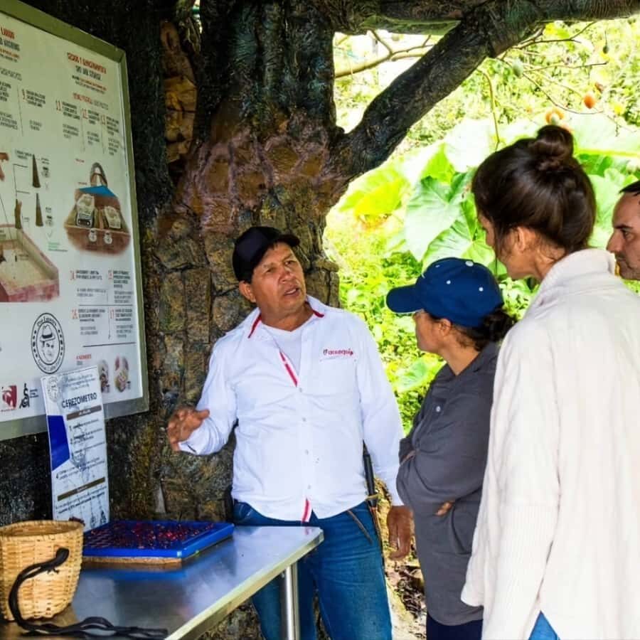 Medellin: Coffee Farm and Barista Workshop Experience - What You Actually Learn: Variables, Methods, and Fast Practice