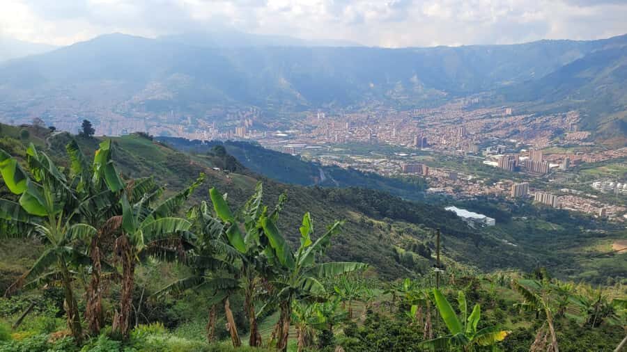 Medellin: Coffee Farm Tour & Spa with Overnight Glamping - Night 1 itinerary: fire pit city views, BBQ dinner, and sleeping in the coffee cave