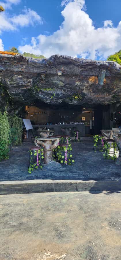 Medellin: Coffee Farm Tour & Spa with Overnight Glamping - Coffee temazcal (steam coffee bath) and Naox spring water