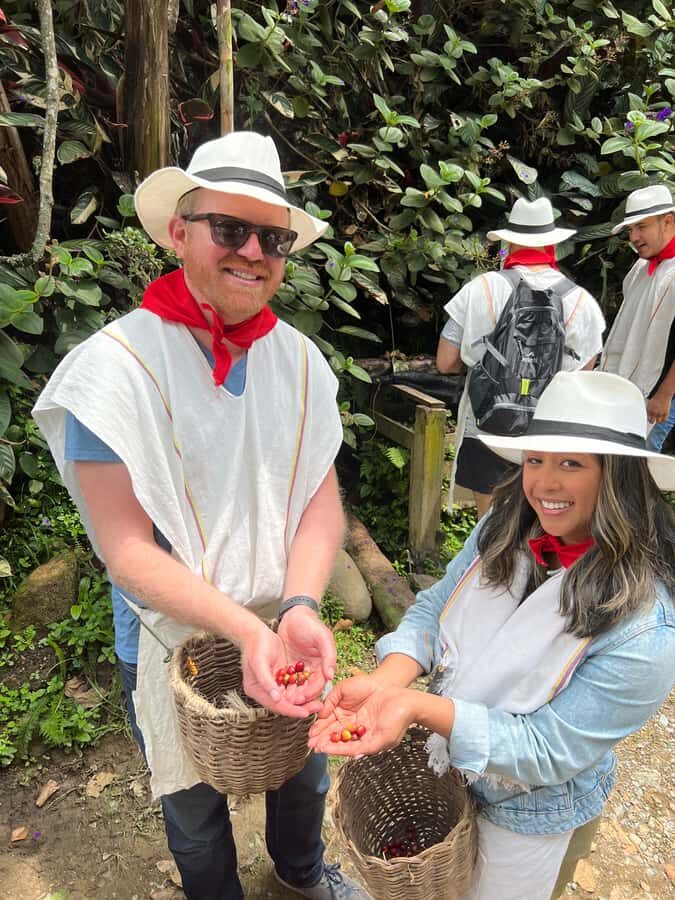 Medellín: Coffee Tour Experience at a Coffee Farm - Key things to look for
