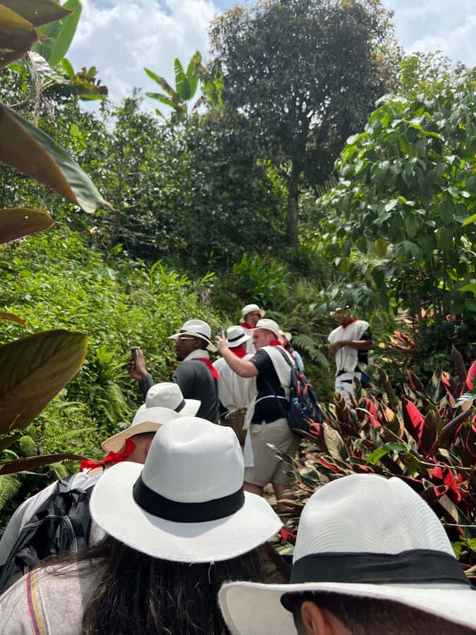 Medellín: Coffee Tour Experience at a Coffee Farm - A traditional coffee plantation visit in Envigado