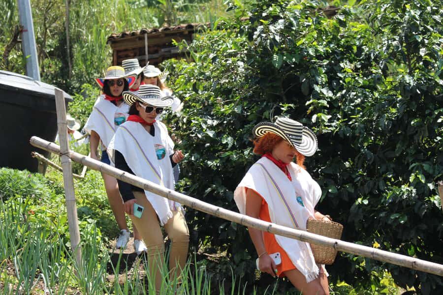 Medellin: Coffee Tour with Hotel Transfers and Meals - Hotel pickup and the drive up: plan for real mountain roads