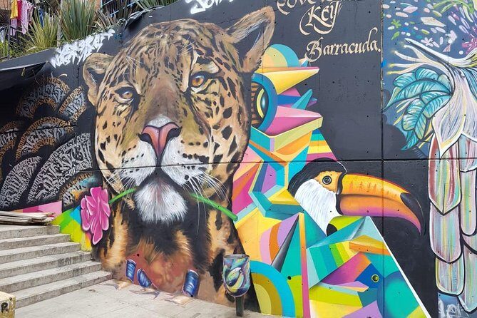 Medellín & Comuna 13 Private Tour - Key things I’d watch for on this Medellín & Comuna 13 tour