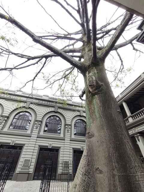 Medellin downtown: History and culture through fun stories - Palace of Culture Rafael Uribe Uribe: terrace views and culture in motion