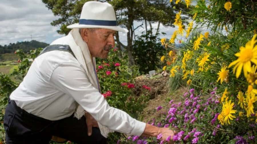 Medellín: Flower Farm & Silletero History Tour - Medellín Flower Farm Tour: What you’re really buying