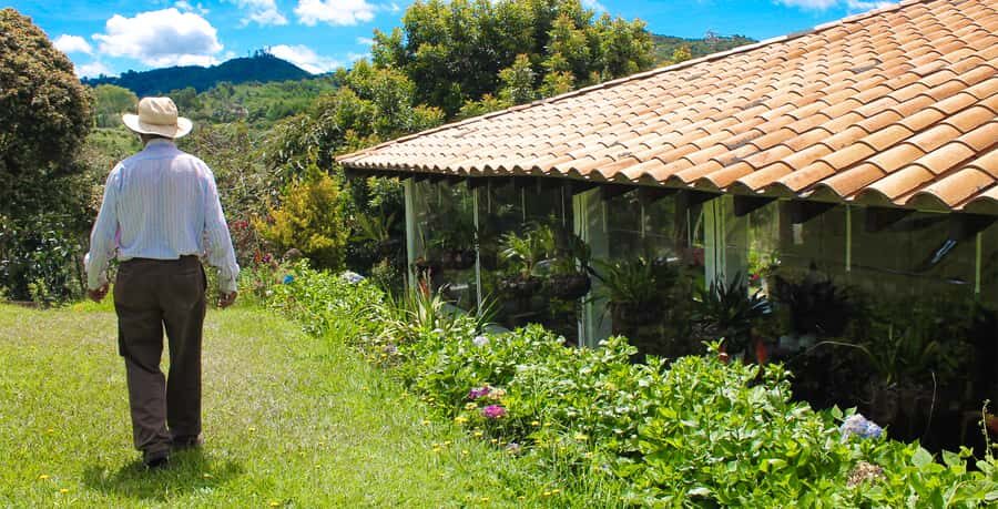 Medellín: Flower Farm & Silletero History Tour - Silleteros and the festival connection: seeing the tradition behind the flowers