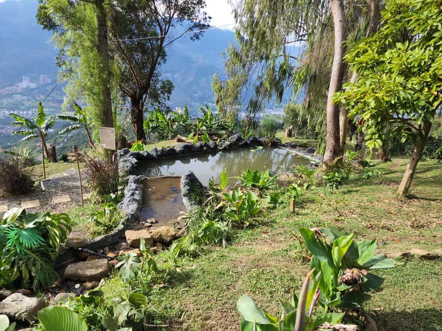 Medellin: Glamping Spa and coffee tour Experience - A Coffee Cave Night Meets Real Farm Work in Antioquia