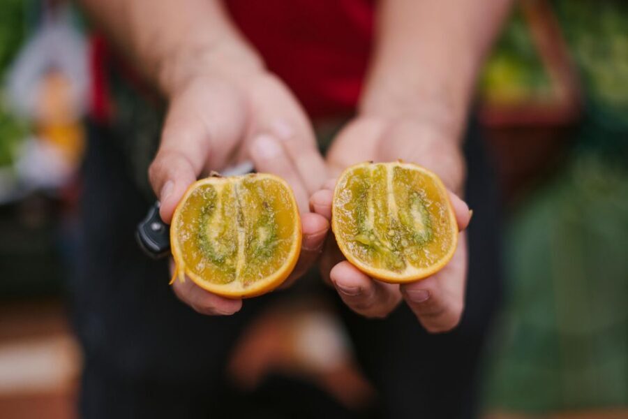 Medellín: Guided Exotic Fruits Tour - Who Should Book This Tour in Medellín