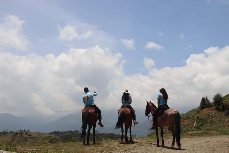 Medellin: Horseback Riding in the Medellin Mountains - Key highlights to expect