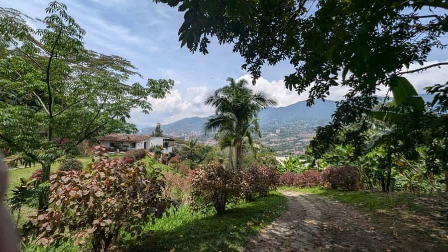 Medellín: Luxury Coffee Farm Tour with Tastings - Key Things You Should Know Before You Go