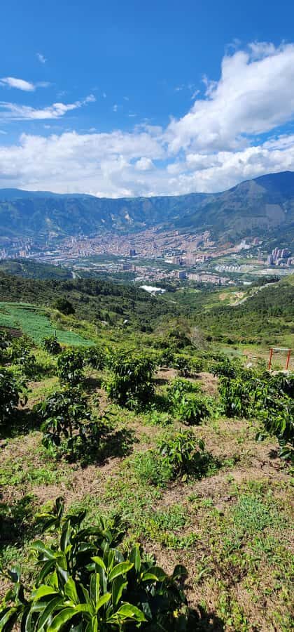 Medellin: Mountain Bike Coffee Farm Tour and Spa Experience - Views, timing, and weather: rain or shine reality check