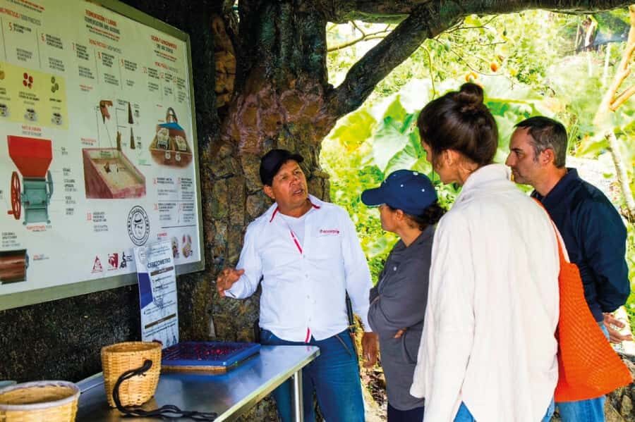 Medellin: Mountain Bike Coffee Farm Tour and Spa Experience - Booking tips so pickup and expectations run smooth