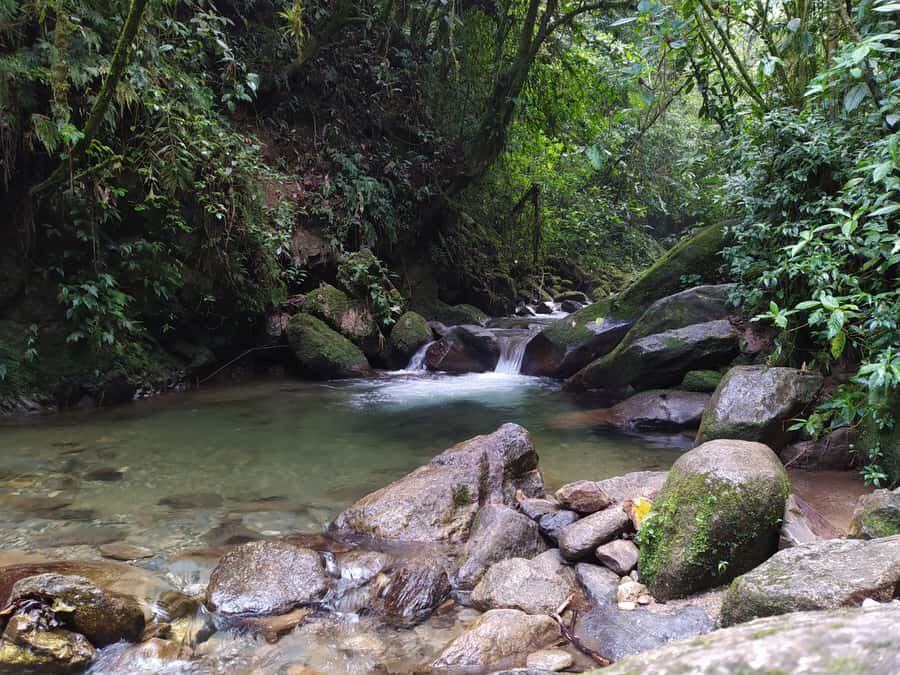 Medellín: Nature Experience & Waterfall-Hike - Key things I’d plan for before you go