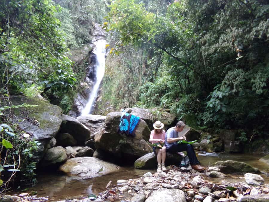 Medellín: Nature Experience & Waterfall-Hike - Why La Miel Waterfall Is the Main Event Near Medellín