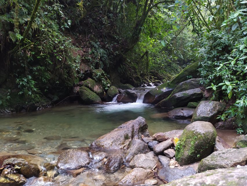 Medellín: Nature Experience & Waterfall-Hike - The 20-meter La Miel waterfall moment