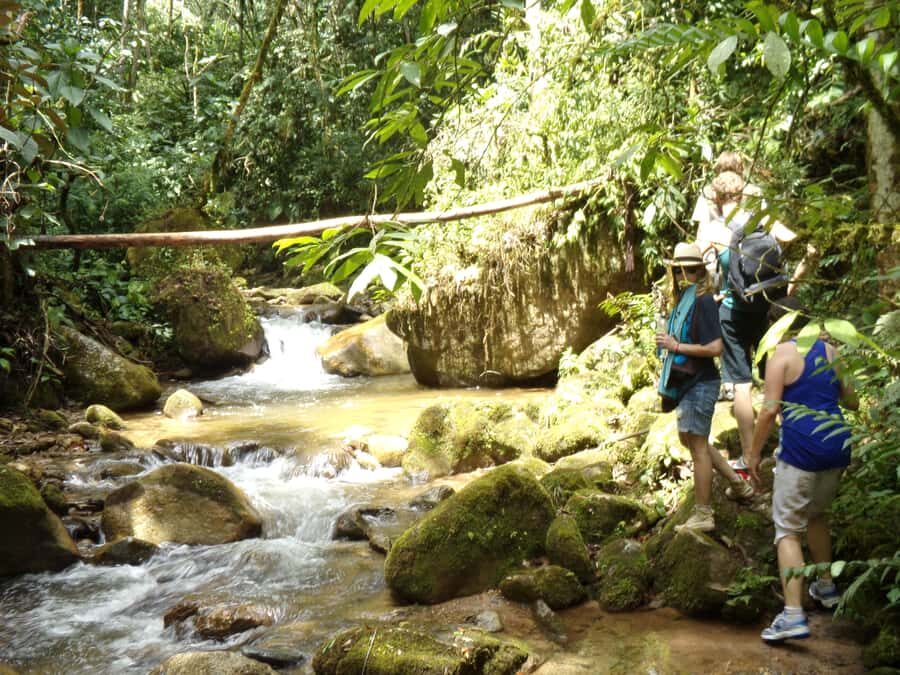 Medellín: Nature Experience & Waterfall-Hike - Should you book the Medellín Nature Experience & Waterfall-Hike?
