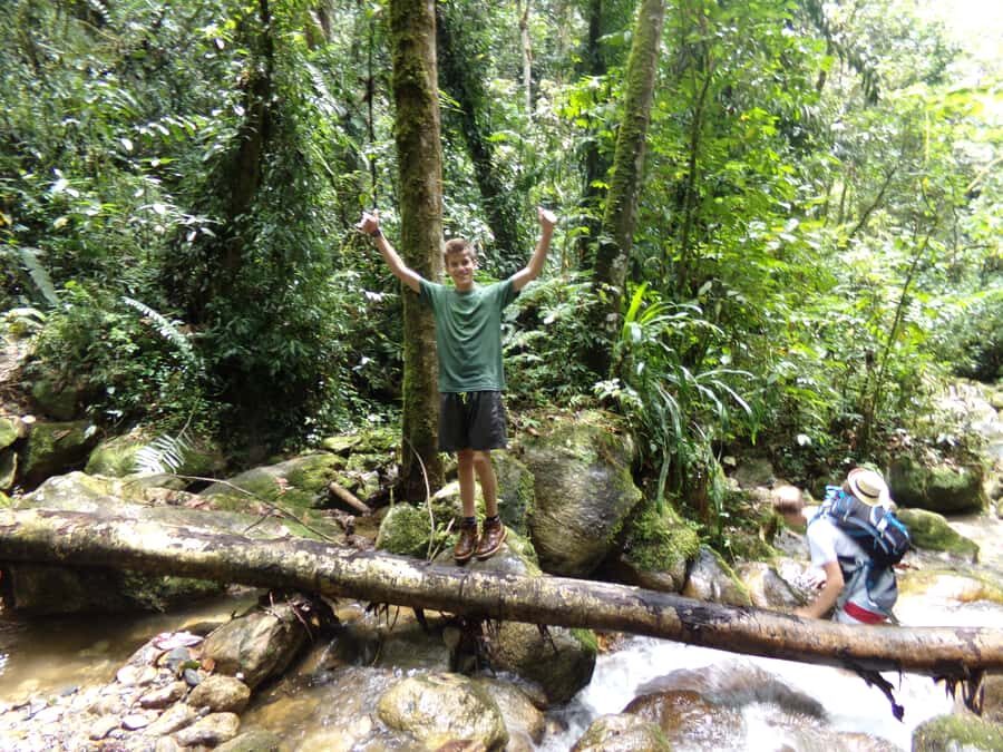 Medellín: Nature Experience & Waterfall-Hike - What the Andean Cloud Forest Hike Feels Like (and how to prepare)