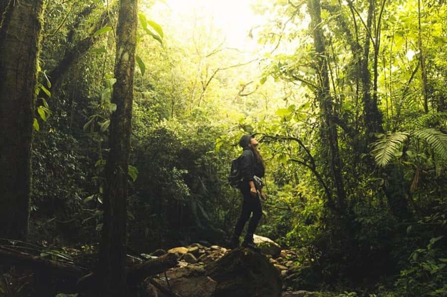 Medellín: Secret Waterfall Hike Tour with Snack and Coffee - The Forest Hike: 1.5 Hours to the Falls (and Why Footing Matters)