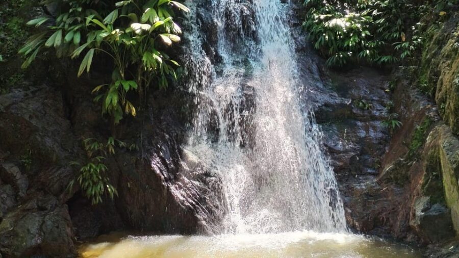 Minca: Hidden Waterfall + Coffee and Cocoa Workshop - Wildlife viewing and scenic stops: don’t rush your camera time
