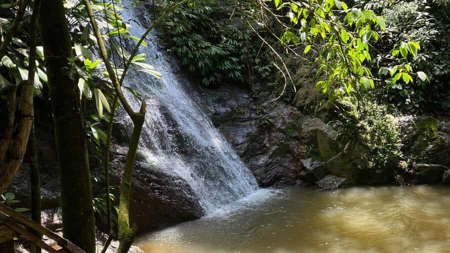 Minca: Hidden Waterfall + Coffee and Cocoa Workshop - What to bring (and what to skip) so the day stays easy