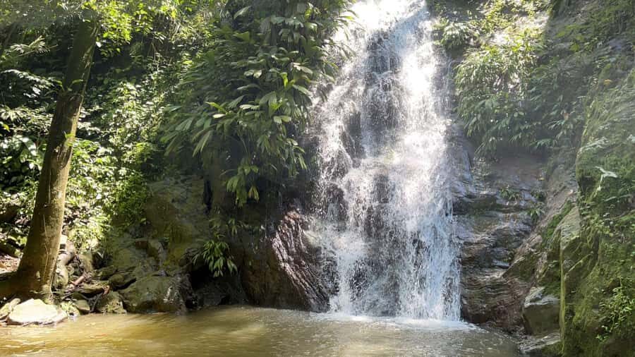 Minca: Hidden Waterfall + Coffee and Cocoa Workshop - Getting from Santa Marta to Minca: pickup zones and the travel rhythm
