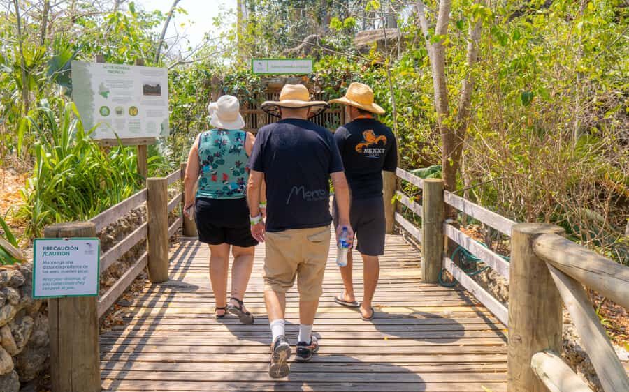 National Aviary and Playa Blanca Plankton Full-Day Tour - Cartagena’s meeting point: why “Los Pegasos” sets the tone