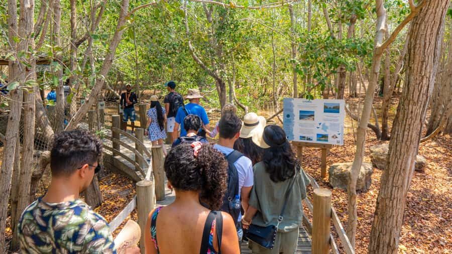 National Aviary and Playa Blanca Plankton Full-Day Tour - Snorkeling on Barú: wet fun, plus another reason the day runs long