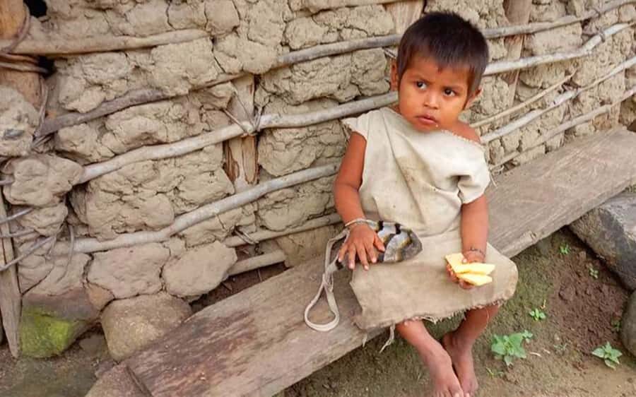 Palomino: Private Tour to Tungueka Indigenous Village - Key things you’ll notice on this tour