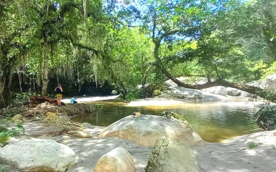 Palomino: Private Tour to Tungueka Indigenous Village - Price and Value: $86 for a Private Cultural + Nature Combo