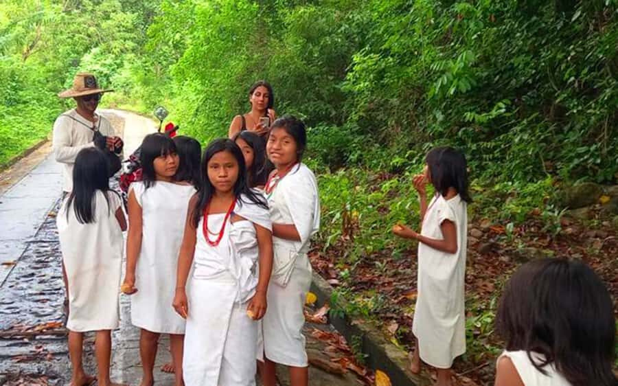 Palomino: Private Tour to Tungueka Indigenous Village - Guide Language and Communication That Actually Helps