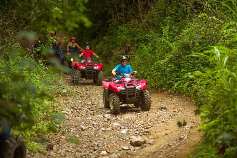 Palomino Quad Bike Tour - Pickup, Safety, and How You Start Driving Confidently