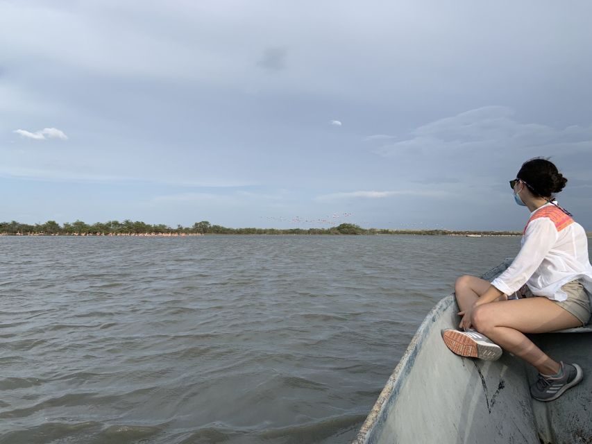 Palomino: Sanctuary of Flamingos Day Tour - FAQ