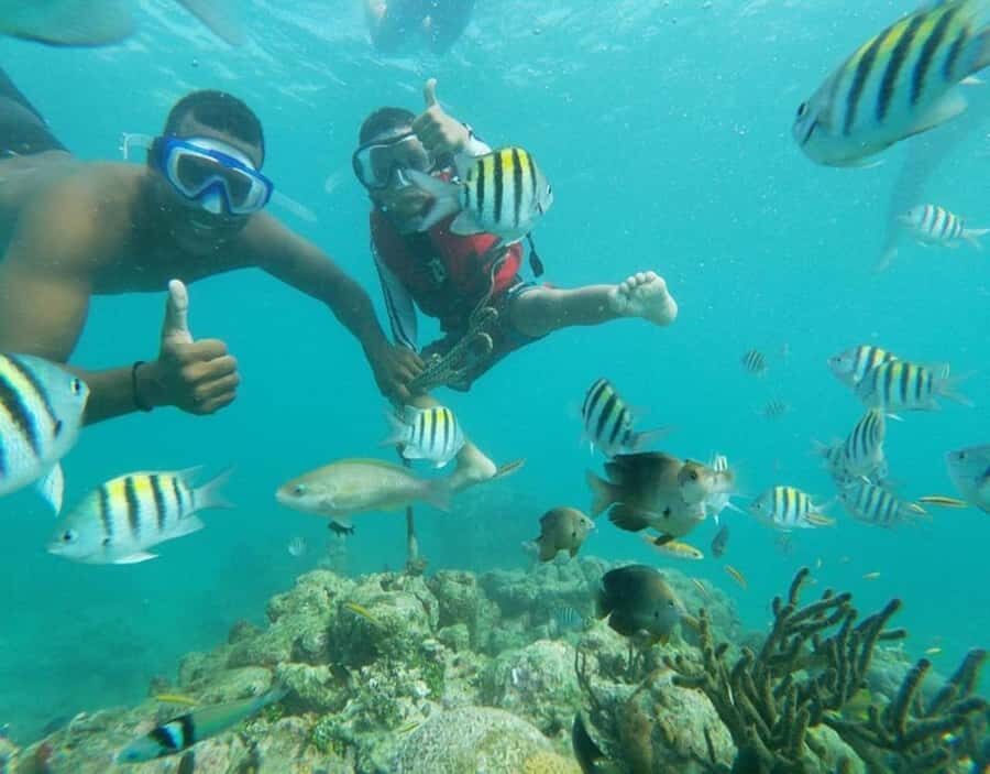 Playa Blanca: Daytour with Snorkeling and Racoon Sighting - Key highlights you’ll actually care about
