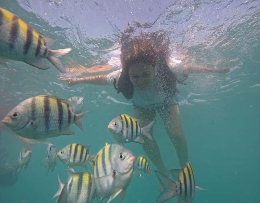 Playa Blanca: Daytour with Snorkeling and Racoon Sighting - Price and value: is $60 a fair deal?