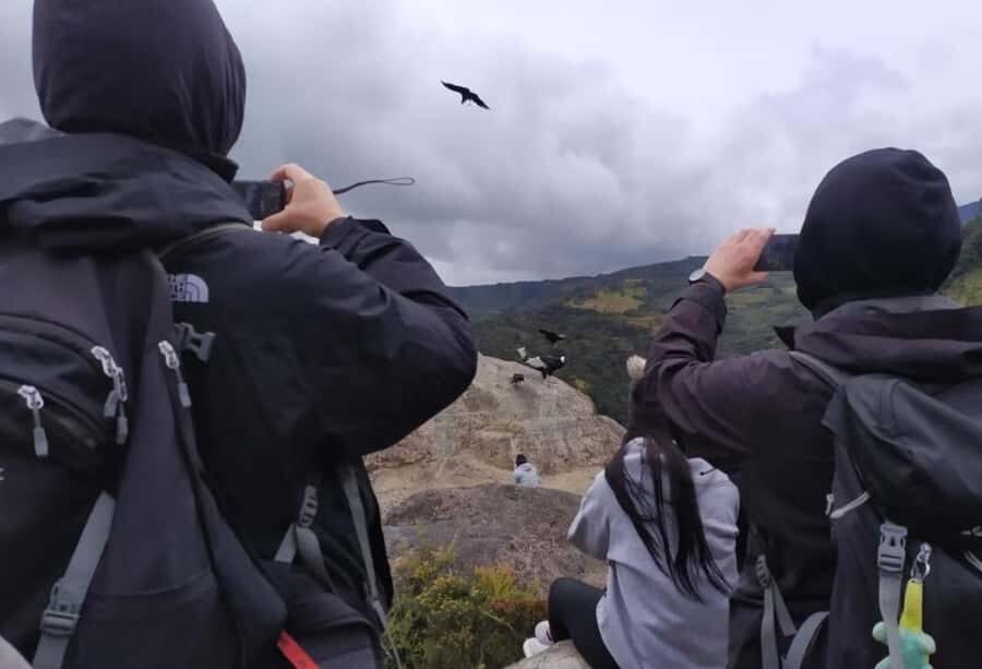 Popayan: Condor Watching in Purace + San Juan Hot Springs - Mirador de Condor Stone: where you’ll get close to the birds