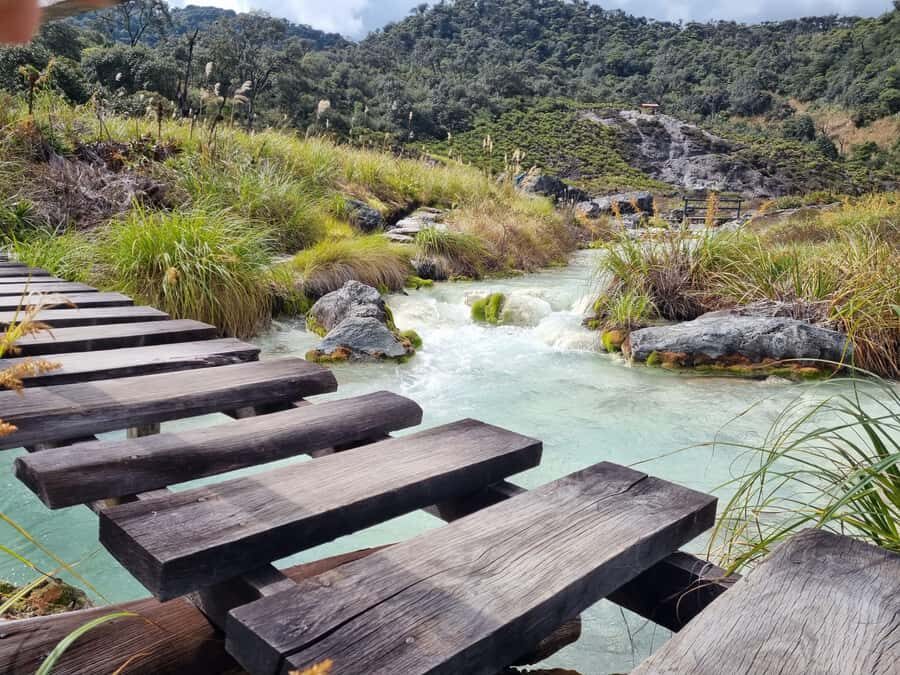 Popayan: Condor Watching in Purace + San Juan Hot Springs - Lunch with grilled fish or meat, plus the local comfort foods