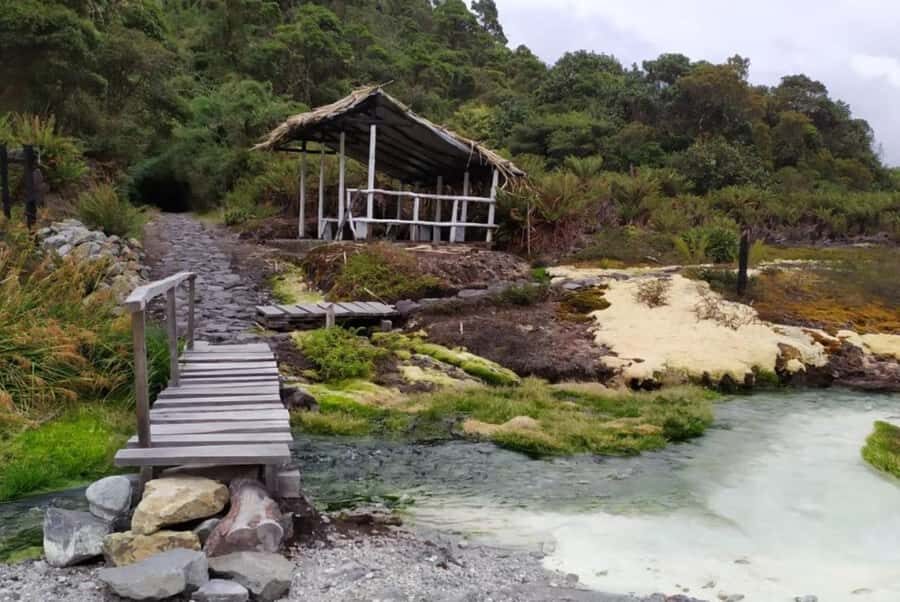 Popayan: Condor Watching in Purace + San Juan Hot Springs - Indigenous villages, farms, and the real geography of the region
