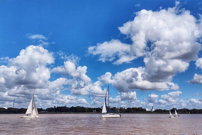Private Boat Tour to Rio de la Plata and Delta El Tigre with Wine on Board - Price and value: what you’re really paying for at $85 per person