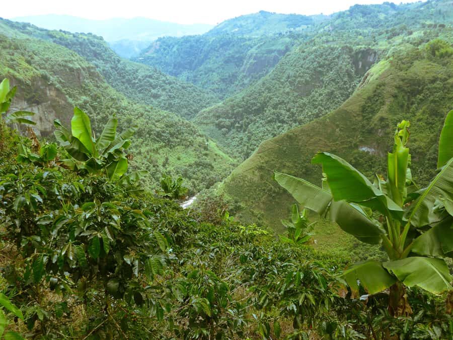 Private Jeep Tour to the Surroundings of San Agustín - Key things that make this tour worth your time