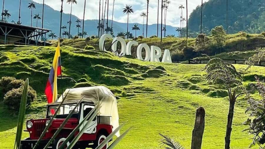 Salento, Cocora and Filandia Full Plan from Pereira/Armenia - Cocora Valley: What Makes the Wax Palms So Famous