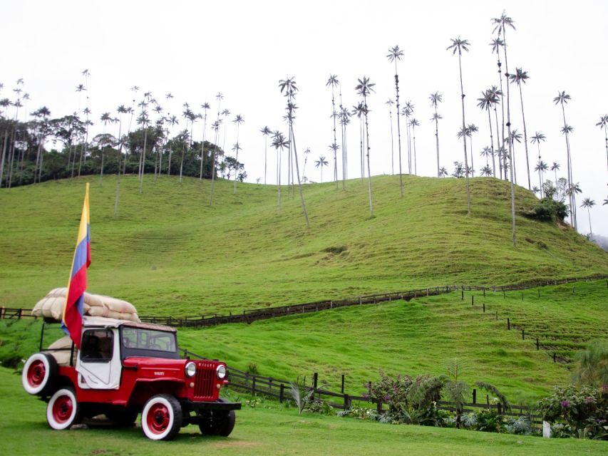Salento, Cocora and Filandia Tour from Pereira or Armenia - The guide and driver factor: why your experience can feel tailor-made