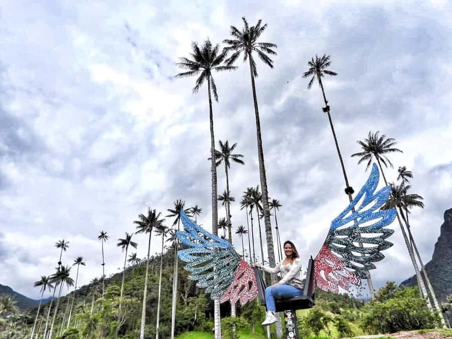 Salento, Cocora and Filandia Tour from Pereira or Armenia - Price and Logistics: what $169 buys you