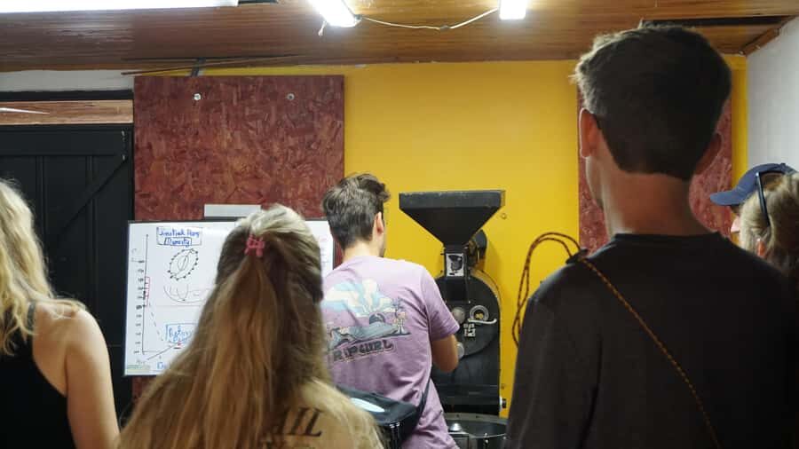 Salento: Coffee Master Roasting, Brewing and Tasting Tour - Key Coffee-to-Cup Highlights You’ll Actually Use