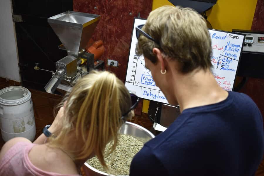 Salento: Coffee Master Roasting, Brewing and Tasting Tour - Brewing After Roasting: Four Pour-Over Methods, Real Hands-On Practice
