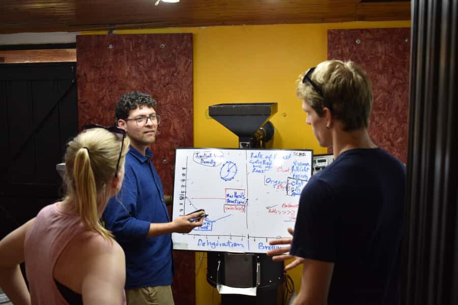 Salento: Coffee Master Roasting, Brewing and Tasting Tour - The Tasting Session That Teaches You How to Describe Coffee